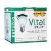 Vitalpur Estudo Geléia Real 20 Frascos de 15ml