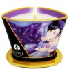 Shunga Massage Kerze Exotischen Früchten 170 ml