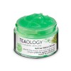 Teaology Matcha Fresh Cream 50ml