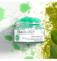 Teaology Matcha Fresh Cream 50ml precio