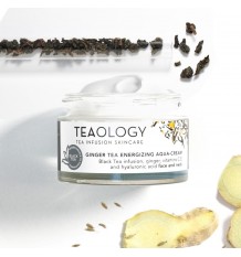 Teaology Ginger Tea Energizing Aqua Cream 50ml precio