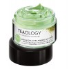 Teaology Matcha Tea Ultra Firming Cream 50ml