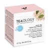 Teaology White Tea Loose Powder 17 Gramos