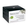 Teaology Green Tea Reshaping Body Scrub 450 Gramos