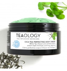 Teaology Cica Tea Perfecting Body Cream 300 ml