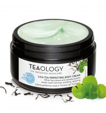 Teaology Cica Tea Perfecting Body Cream 300 ml