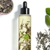 Teaology Bancha Oil 100 ml