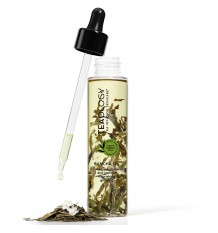 Teaology Bancha Oil 100 ml