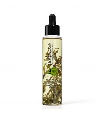 Teaology Bancha Oil 100 ml