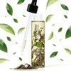 Teaology Bancha Huile 100 ml