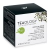 Teaology Green Tea Detox Face Scrub 50 ml