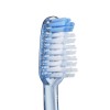 Vitis Medium Brush