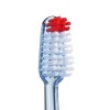 Vitis Hard Brush