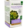 Arkocapsulas Artichaut 40 Gélules Bio