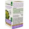 Arkocapsulas Artichaut 40 Gélules Bio