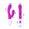Pretty Love Flirtation Vibrator Stimulator Andre