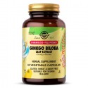 Solgar Sfp Ginkgo Biloba Extracto Puro 60 Cápsulas Vegetales