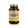 Solgar Astragalus 100 Capsulas Vegetales