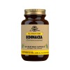 Solgar Echinacea 100 Capsulas vegetales