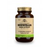 Solgar Spf Boswellia Extracto Puro 60 Capsulas