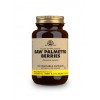 Solgar Sabal (Saw Palmetto) 100 capsulas