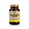 Solgar Sabal (Saw Palmetto) 100 capsulas