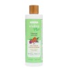 Vivera Plus shampoo Anticaspa 400 ml