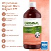 Comprar barato Silicium G7 Original Organico 1000ml