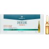 Endocare Radiance C Oil Free 30 Ampollas