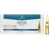 Endocare Radiance Proteoglicanos Oil Free 30 Ampollas