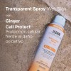 Fotoprotector Isdin 50 Transparent spray Wet skin 250 ml