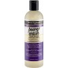 Aunt Jackie'S Curls & Coils Grapeseed Power Wash Champú 355 ml