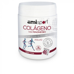 Amlsport Colageno Magnesio Vitamina C B1 B2 B6 350 g