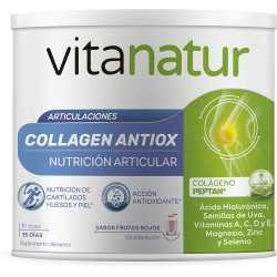 Vitanatur Collagen Antiox 180g 15 Dias