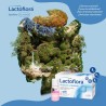 Lactoflora Protector Intestinal Adultos 10 Frascos