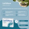 Lactoflora Restore 20 capsulas