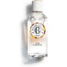 Roger Gallet Bois Orange colonia 100ml