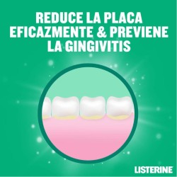 Listerine Protección Dientes y Encías 750ml