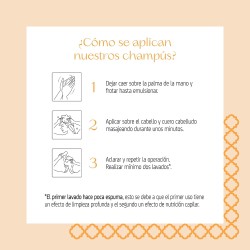 Nuggela & Sulé Champú Anti-Caspa 250ml