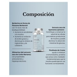 IVB Metabolic Max 60 Cápsulas