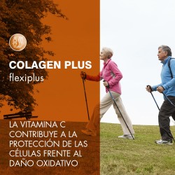 Colagen Plus Flexiplus 300g Prisma Natural