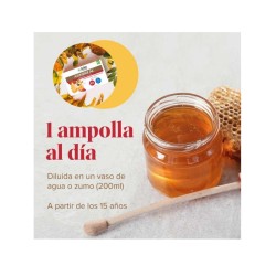 Arkoreal Jalea Real 500 Ginseng 20 Ampollas