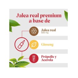 Arkoreal Jalea Real 500 Ginseng 20 Ampollas