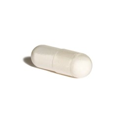 Solgar 40 Plus Acidophilus 60 Cápsulas