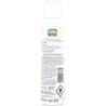 Chilly Deo Spray Fresh 150ml