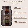 Kobho Pre-Post Probiótico 60 Capsulas