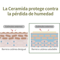 Round Lab Soy Bean Tónico Hidratante 300ml