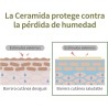 Round Lab Soy Bean Tónico Hidratante 300ml