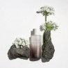 Haruharu Wonder Black Rice Hyaluronic Tónico Antiedad Todo tipo de Pieles 150ml