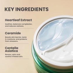 Axis-Y Cera-Heart My Type Duo Crema Heartleaf y Ceramida 60ml